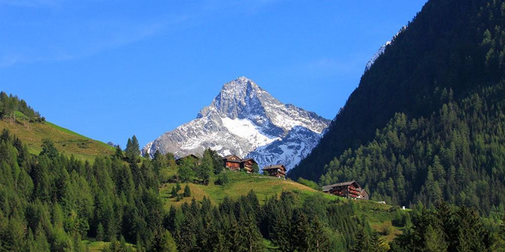 Gamsalm Aparthotel Kals-am Großglockner Exteriör bild